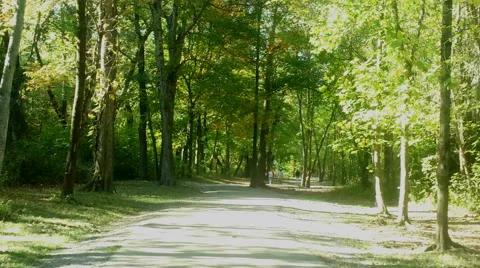 Couple Walking in the Park Stock Footage 43068924