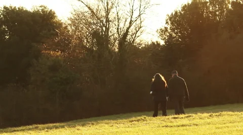 Couple Walking In Park Stock Footage 45520478