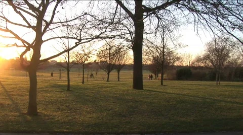 Couple walking in park in winter Stock Footage 600039