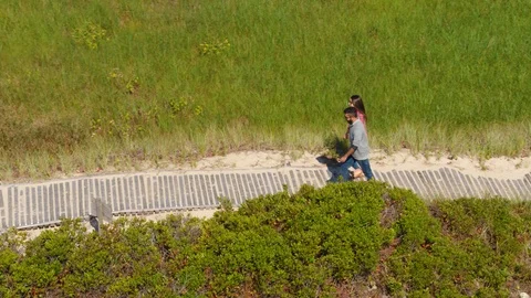 Couple Walking Path Along Beach &amp; Ocean, Aerial Drone Stock Footage 102398990