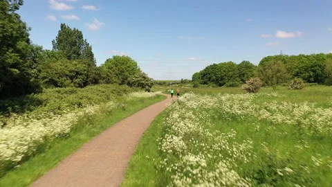 Couple walking on path around blooming flowers Stock-Footage 155825677