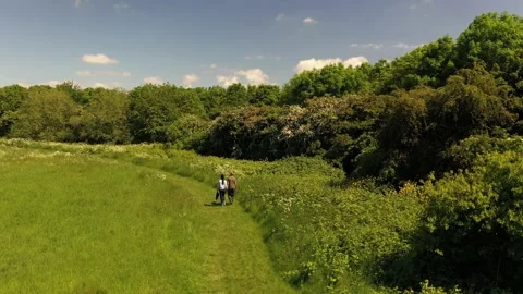 Couple walking on path mowed in high grass on meadow Stock-Footage 155824867