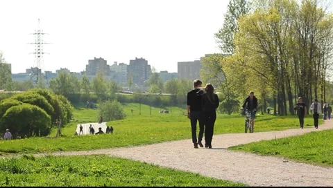 Couple walking on the path in the park Vídeo Stock 5500638
