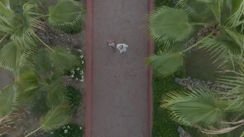 Couple Walking on a Path Surrounded by Palm Trees Stock Footage 282927133