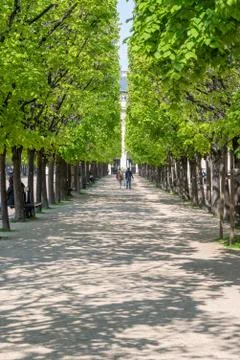 Couple walking on a path surrounded by trees Stockfoto's