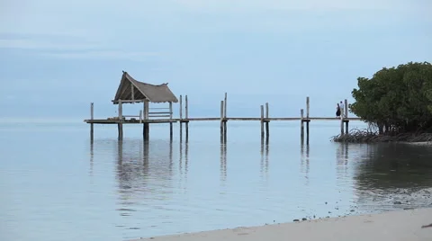 Couple walking on pier Stock Footage 67021853