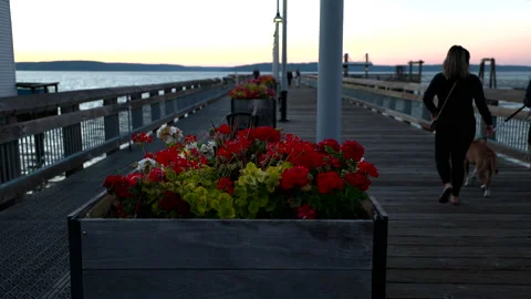 Couple walking on pier at sunset Stock Footage 203961696