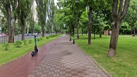 Couple Walking in the Rain Through Park - Long Distance Tracking Shot Stock Footage 312253727
