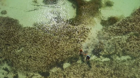 Couple Walking on the Sea Stock Footage 90542597