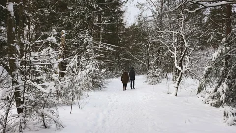 Couple walking in the snow covered forest. Stock-Footage 217755481