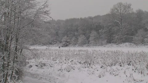 Couple walking in snow covered stream valley - wide shot Stock Footage 138642462