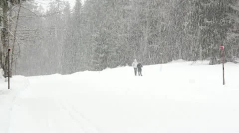 Couple walking in the snow Stock Footage 20643557
