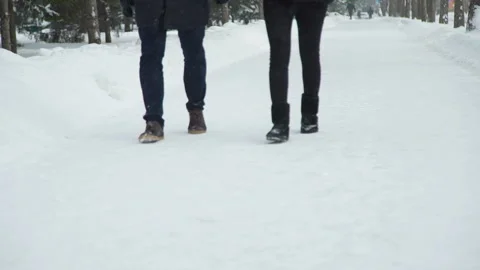 Couple Walking on Snow Path in the Park Stock Footage 99212929