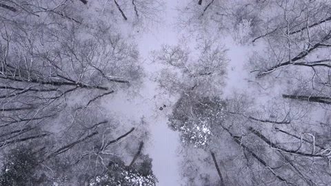 Couple walking by snowed forest Vídeos de archivo 149624641
