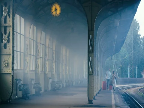 Couple Walking With Suitcases Video stock 78769270