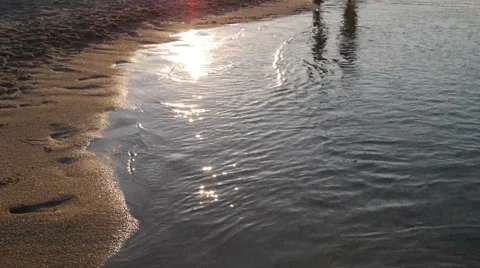 Couple walking at sunset Stock Footage 55302516