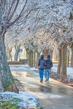 Couple walking, taking a stroll in a tree surrounded by snow at sunset. Winte Stock Photos
