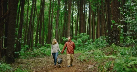 Couple Walking their Dog Stock Footage 86540162