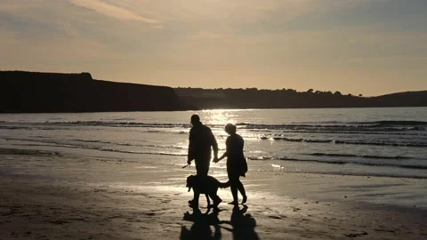 Couple walking their dog on the shore Stock Video Pond5