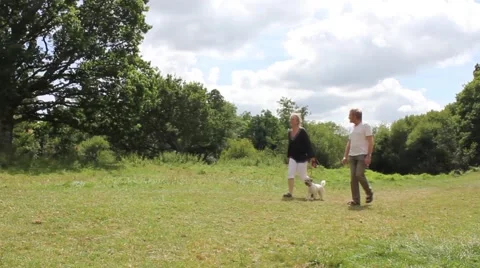 Couple walking their dog through a field Stock-Footage 40494795