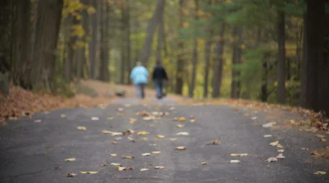 Couple walking through autumn foliage Stock Footage 32166484