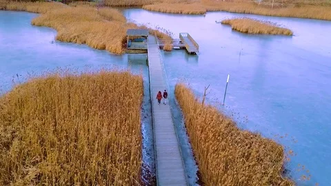 Couple Walking Through Marsh Stock Footage 71344593