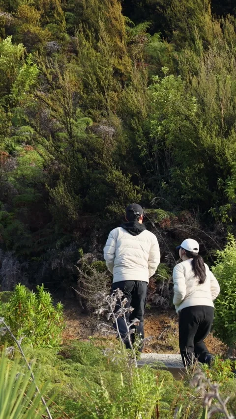Couple Walking Through Scenic Forest Path 库存影片 310531652