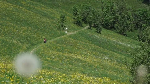 Couple Walking through a Valley Stock Footage 76980384