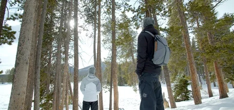 Couple Walking Through Winter Forest in Snow, Rocky Mountain National Park Video stock 109489536