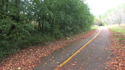 Couple Walking on Trail Stock Footage 281354