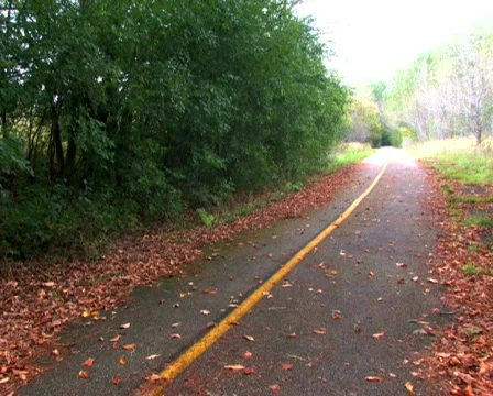 Couple Walking on Trail Stock Footage 283091
