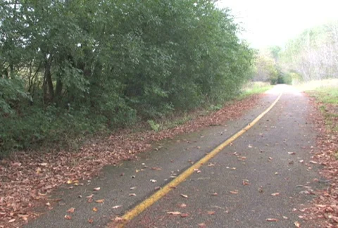 Couple Walking on Trail Video stock 283485