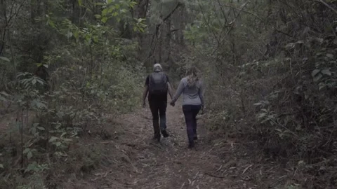 Couple walking a trail in the forest Stockbeeldmateriaal 242352795