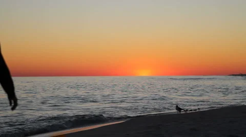 Couple Walking At Twilight Stock Footage 2222459