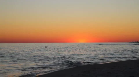 Couple Walking Twilight Stock-Footage 2276452