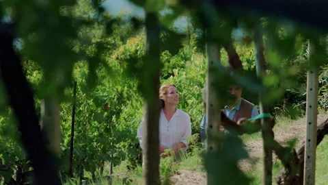 Couple walking in vineyard Video stock 235381533