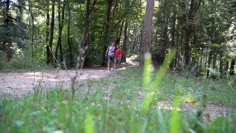 A couple walking in the woods Stock Footage 94828772
