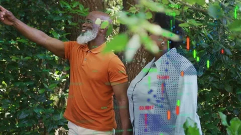 Couple walking woods man pointing at canopy data overlay appearing over them as Stock Footage 333594889