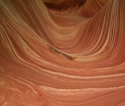 Couple walks by camera and through the wave of northern Arizona Stock Footage 21528072