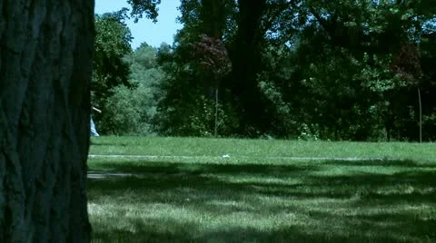 Couple walks Stock Footage 11217015