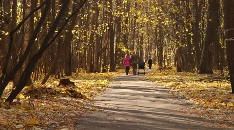 A couple walks on a path full of fallen leaves - HD 1920X1080 Video stock 886302