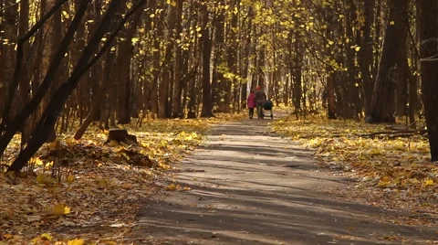 A couple walks on a path full of fallen leaves  Video stock 886355