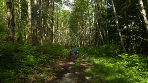 Couple Walks Through the Woods 動画素材 99295357