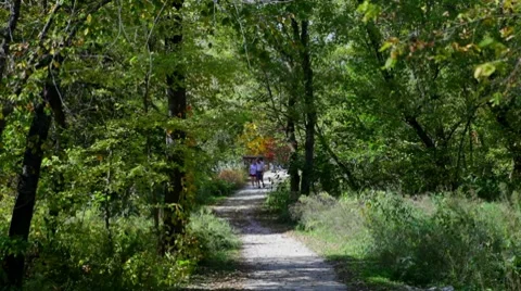 Couple Walks On Trail Video stock 8828103