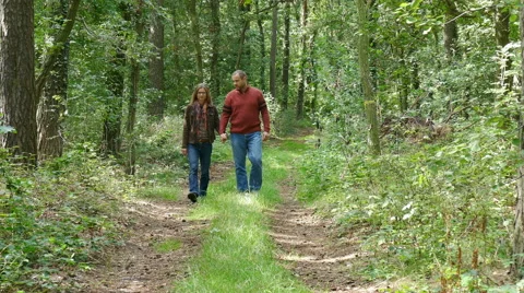A couple walks in the woods Stock Footage 54572297