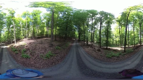 Couple wanders through fresh beech forest, VR360, VR, 360VR Stock Footage 107912945