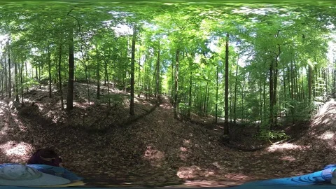 Couple wanders through fresh beech forest, VR360, VR, 360VR Stock Footage 107913450