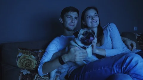 Couple watching television program with dog 動画素材 86112908