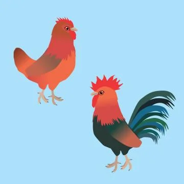 A couple of Welsumer chickens Illustrazione stock