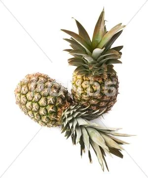 Couple of whole pineapples isolated over white background Stock Photos